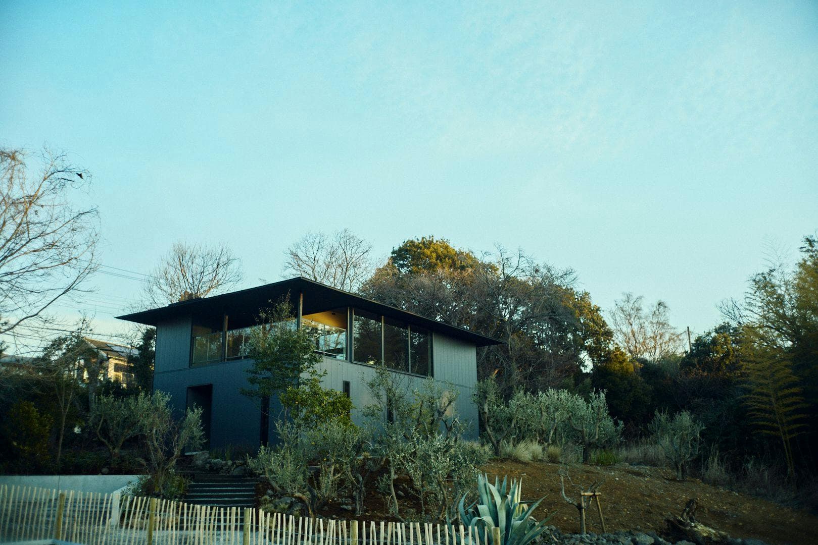 Hiire IZU OLIVE 9